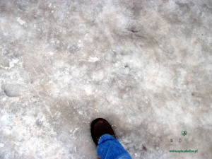 Siedleckie chodniki niczym nie różnią się od lodowiska Fot. BG