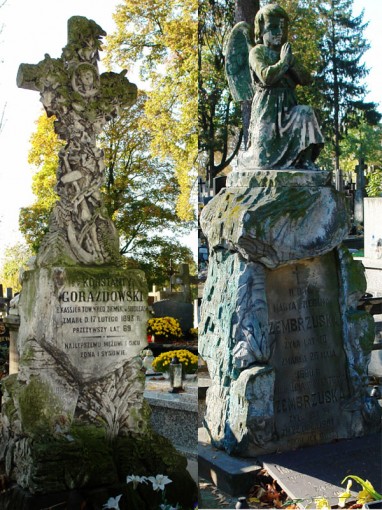 Dwa zabytkowe nagrobki rodzin: Gorazdowskich (pierwszy od lewej) i Zembrzuskich. Fot. źródło MS